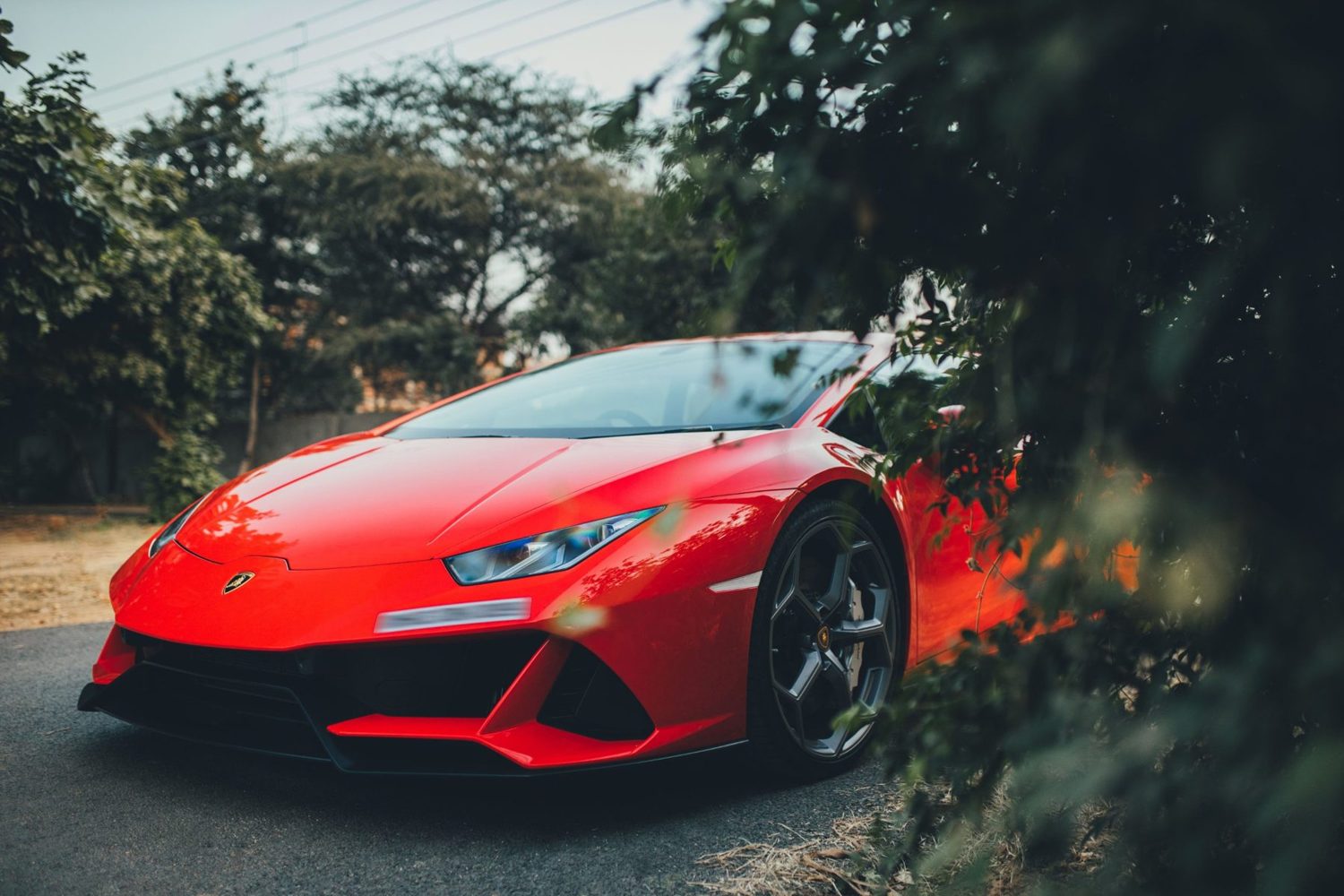 A bright red sports car parked on a leafy road